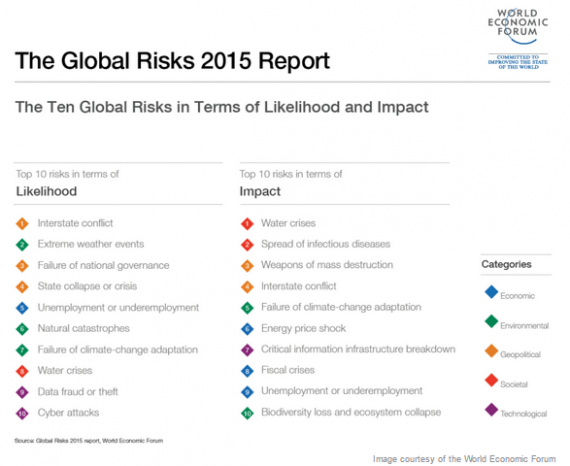 blog article WEF 2015 risk
